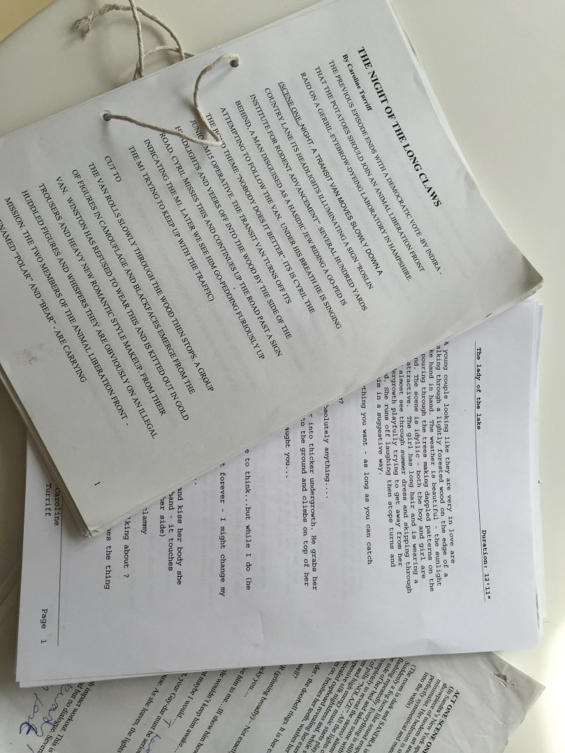 Although I almost killed myself with my cocaine addiction and bulimia and was forced into treatment at the beginning of 2005 by my family I still preserved every one of the comedy scripts and short stories I had written back to 1999